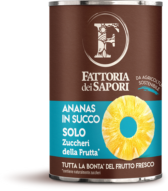 Ananas in succo 565g Ananas in succo