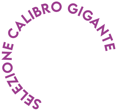 selezione calibro gigante selezione calibro gigante