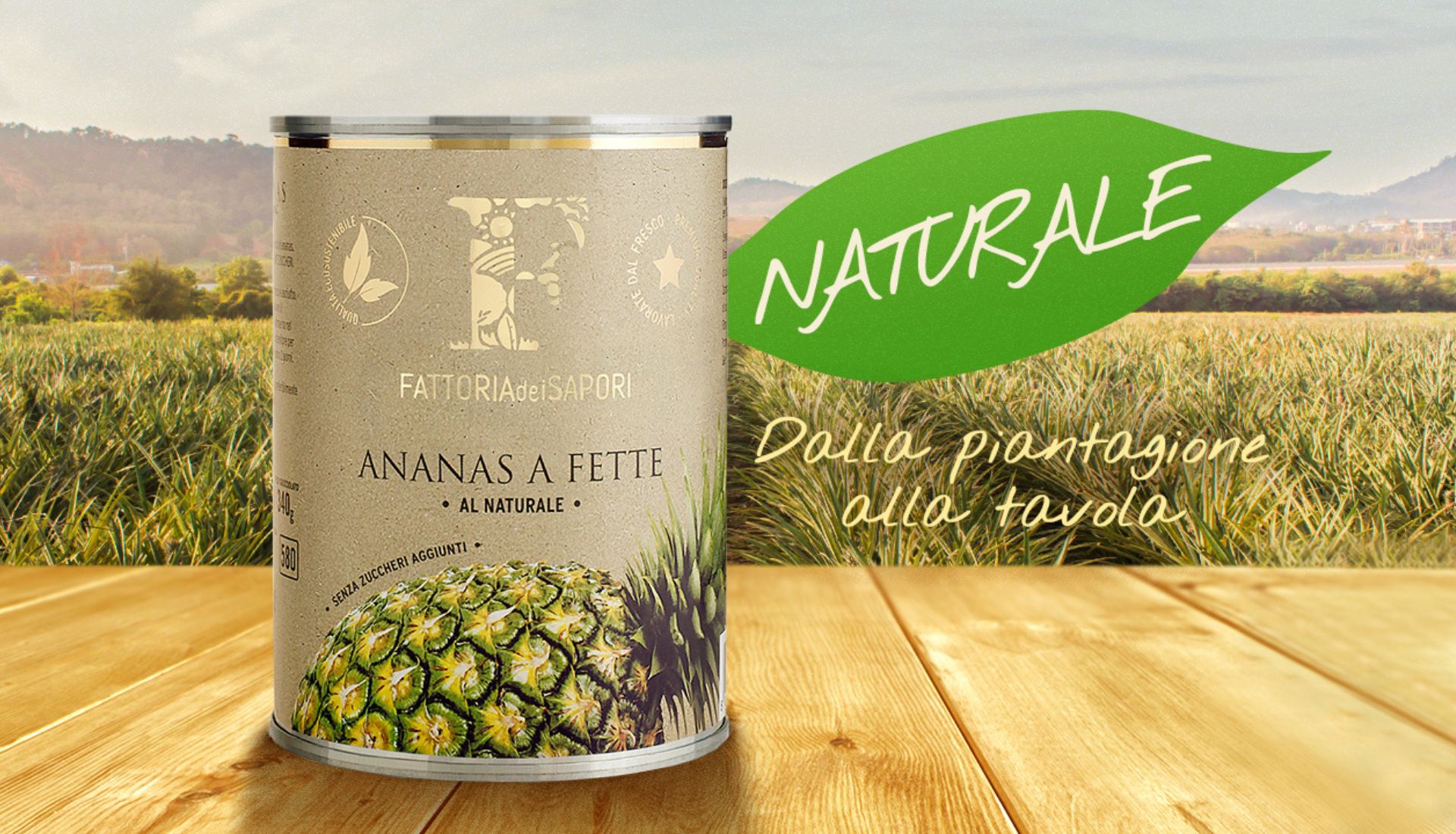 ananas naturale fds