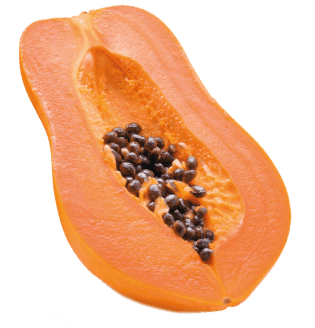 papaya_frutto parallasse