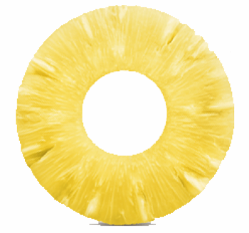 Ananas Ananas