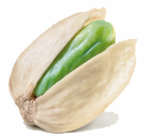 pistacchio pistacchio