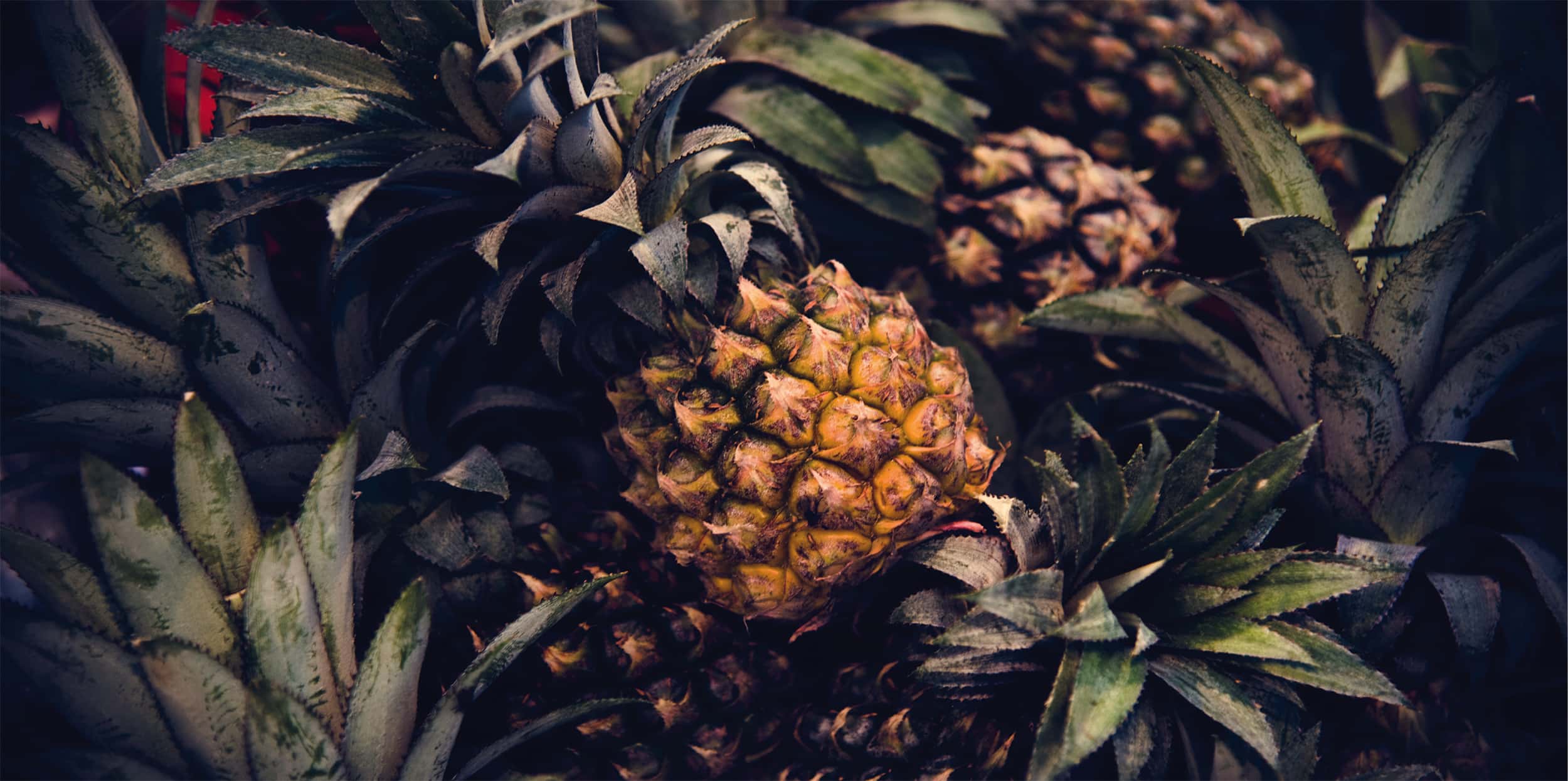 Ananas