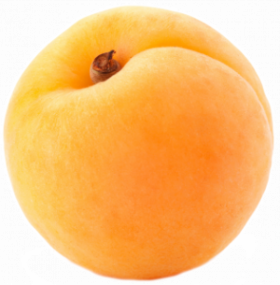 apricot_PNG12656