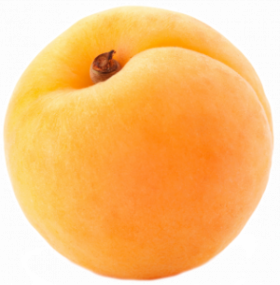 apricot_PNG12656 apricot_PNG12656