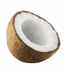 cocco FDS cocco FDS