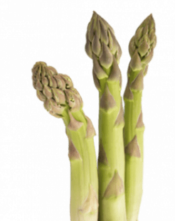 asparagi verdi FDS