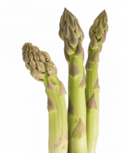 asparagi verdi FDS asparagi verdi FDS