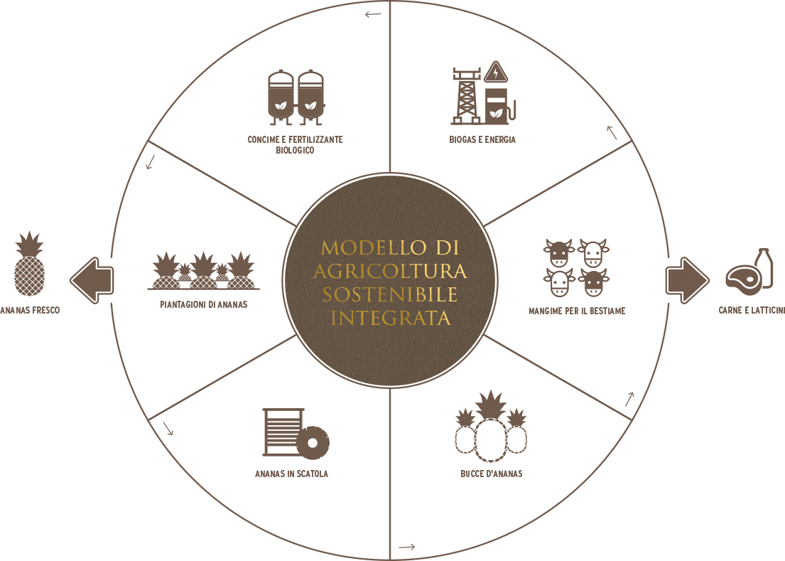 agricoltura_sostenibile_ita