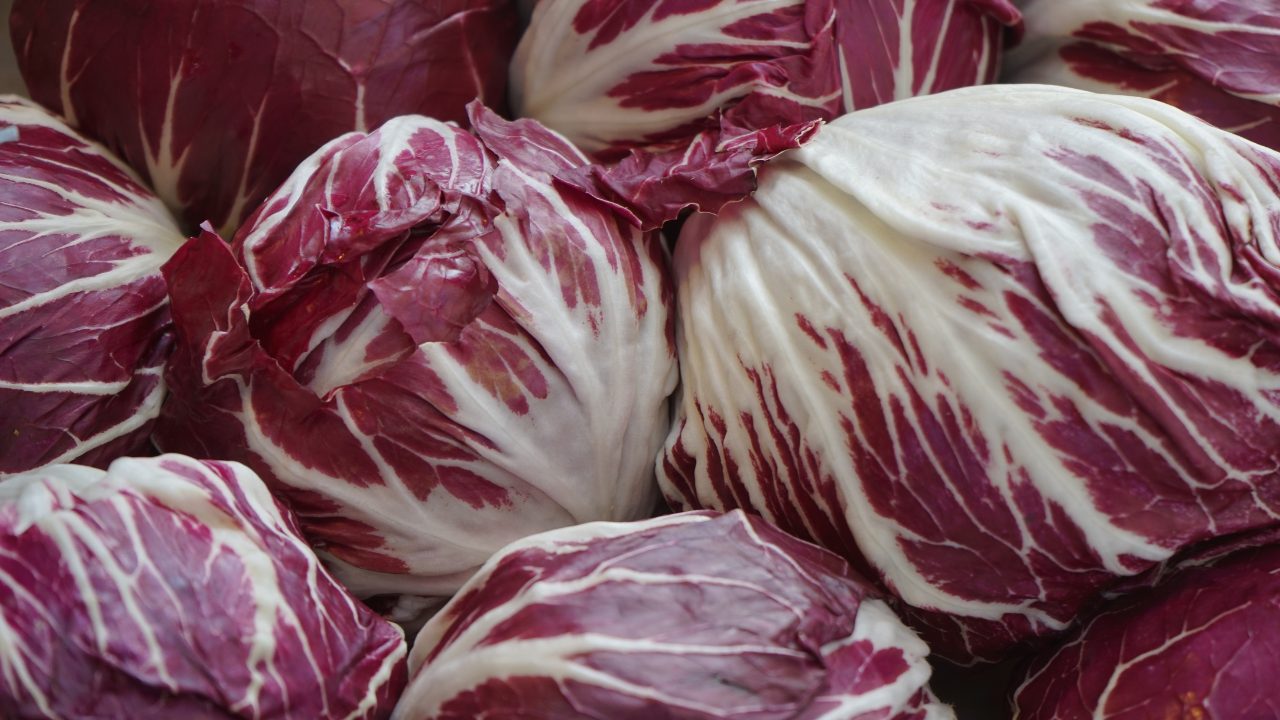 insalata radicchio