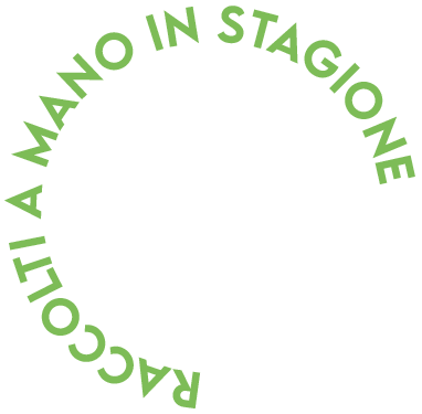 raccolti a mano in stagione