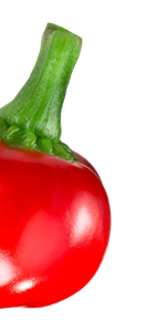 peperoncini ripieni fattoria dei sapori peperoncini ripieni fattoria dei sapori